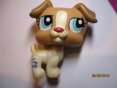 Petshop chien jack russel - chien,