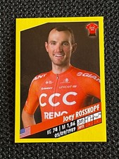 STICKER VIGNETTE PANINI JOEY