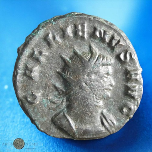 Gallien gallienus - gallien,