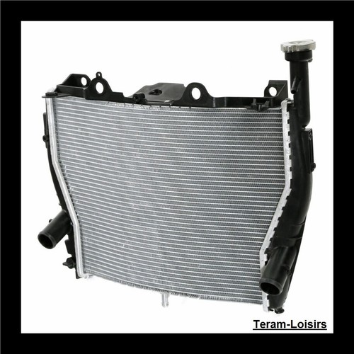 Radiateur pour bmw s1000rr - pour,