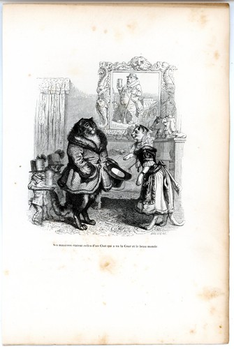 Animaux savants granville 1842 - savants,