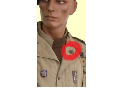 Insigne uniforme 501 - de, du