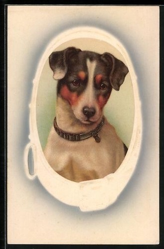 Fox terrier encadré - terrier,, un