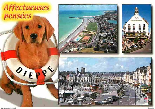 Carte postale animaux - postale,
