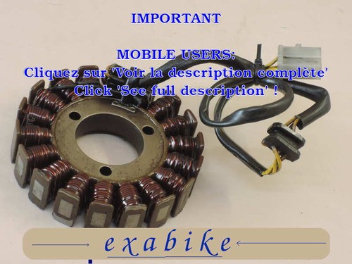 Stator alternateur pour - d'alternateur,