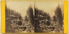 GERMANY Black Forest Photo Stereo c1870 Albumin Vintage Damaged Cardboard