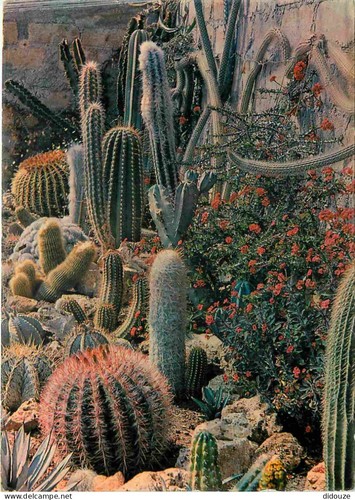 Carte postale fleurs - carte,