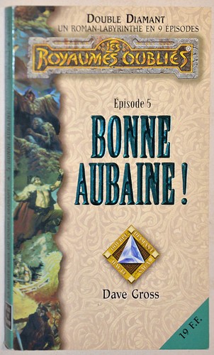 Royaumes oublies double - royaumes,
