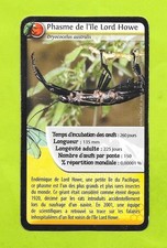 Carte - Phasme de l'île Lord