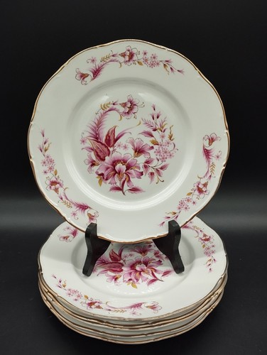 Lot assiettes plates - assiettes,