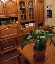 salle à manger complète