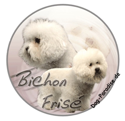 Sticker motiv bichon frise - motiv, /