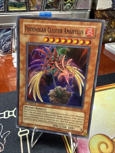 Phoenixian cluster amaryllis - cluster,
