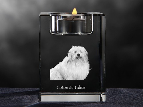 Coton tuléar bougeoir en - coton,