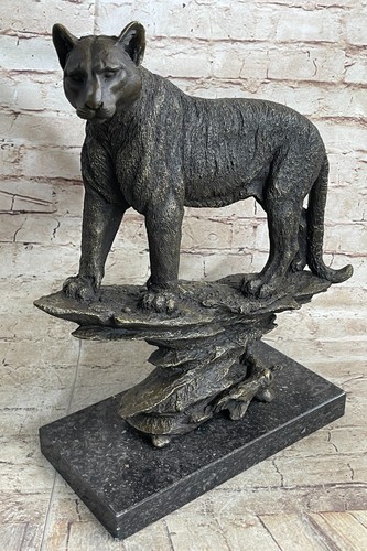 Jaguar panthère léopard - jaguar,