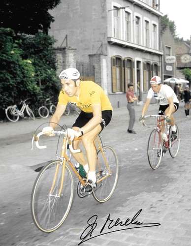 Eddy merckx leading - eddy,