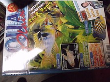 µµ Aqua Plaisir n°50 Petit