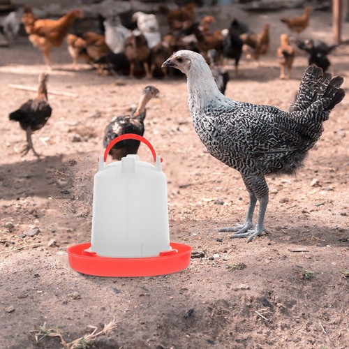 Distributeur pour poules - distributeur,