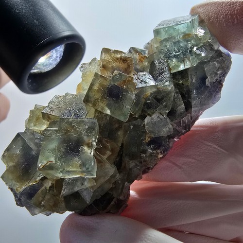 Cubes fluorite fantômes - de,