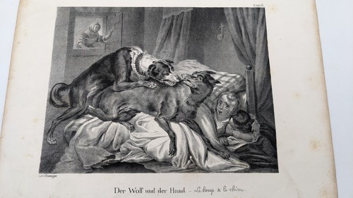 Lithographie loup et - :, le