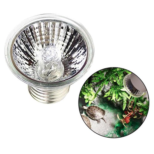 Reptile lampe e27 - reptile,