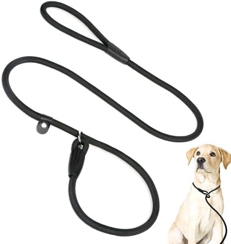 Laisse coulissante chien corde