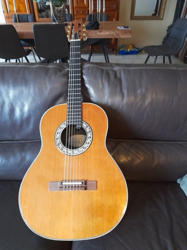 Guitare stéréo ovation - guitare,
