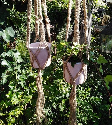 Lot pot plante - 2,