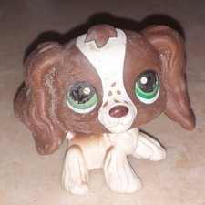 Petshop chien epagnel 156