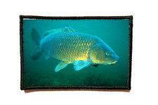 Patch MORALE 5x8cm "PECHE CARPE" Broderie PRINT Design Fun Militaire