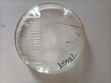 VERRE DE PHARE 125 TERROT