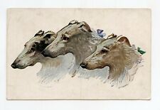 illustrator GABER. Dogs . Greyhounds 