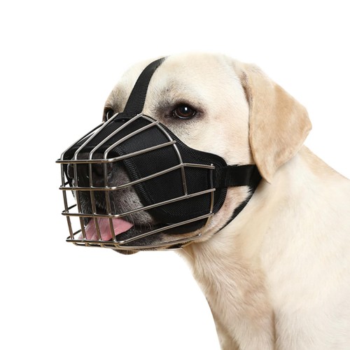 Muselière pour chien - muselière,