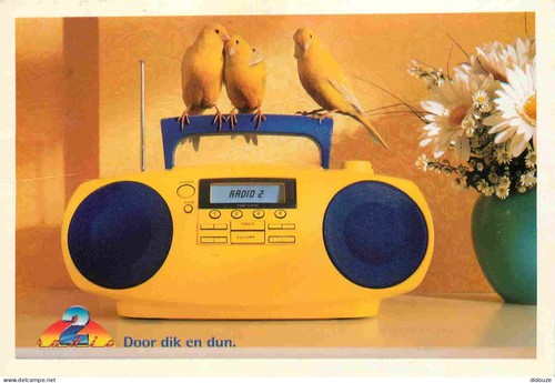 Carte postale animaux - -,
