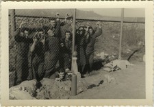 ANTIQUE PHOTO - VINTAGE