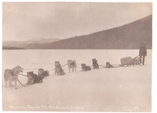 Malamute Team of US Mail - ALASKA YUKON - carrier Ben Downing - ORIGINAL - 1901