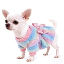 Pull Chien Petite Taille