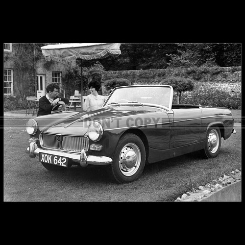 Photo 014794 midget - mg,