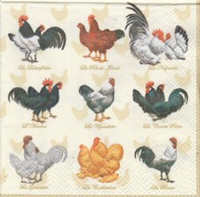 Lot de 4 Serviettes en papier