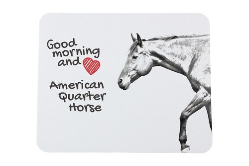 Quarter horse américain - quarter,