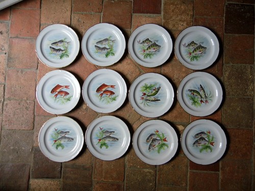 Service poisson 12 - poisson,