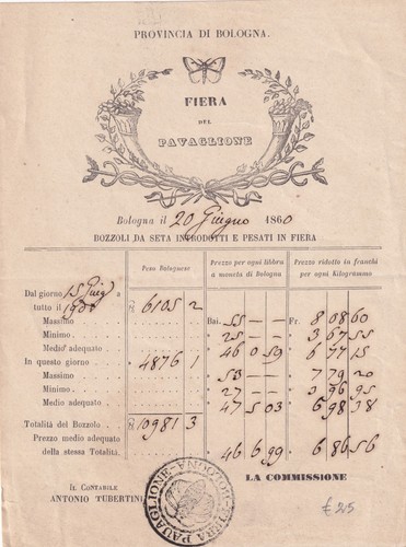Bbb89 bologna bachi - en, soie
