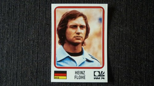 Sticker panini world - panini, story