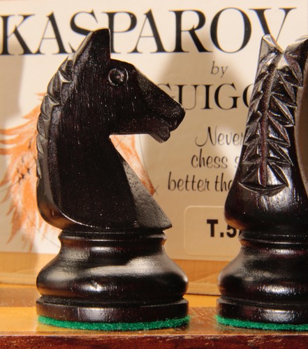 Jeu échecs kasparov - jeu, guigou
