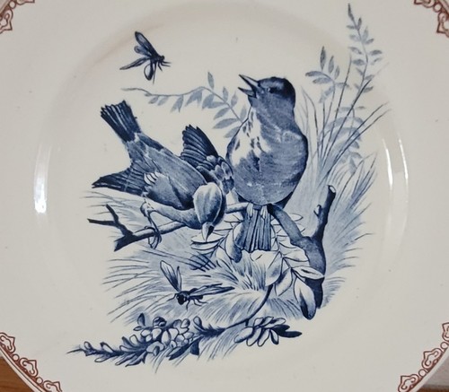 Assiette ancienne xixième - ancienne,