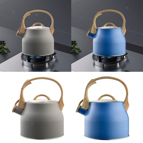 Bouilloire stovetop inox - bouilloire,