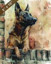 Belgian Malinois guarding painting 8x10 Print