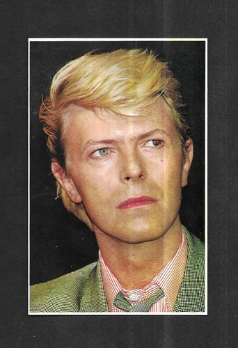 Rare carte postale david - rare,