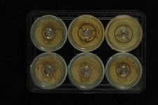 Lot de 6 Balanciers Complets avec Spiral  et plateau marque CUPILLARD VC55