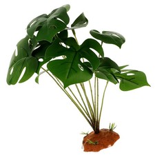 Accessoire Pour Aquarium À